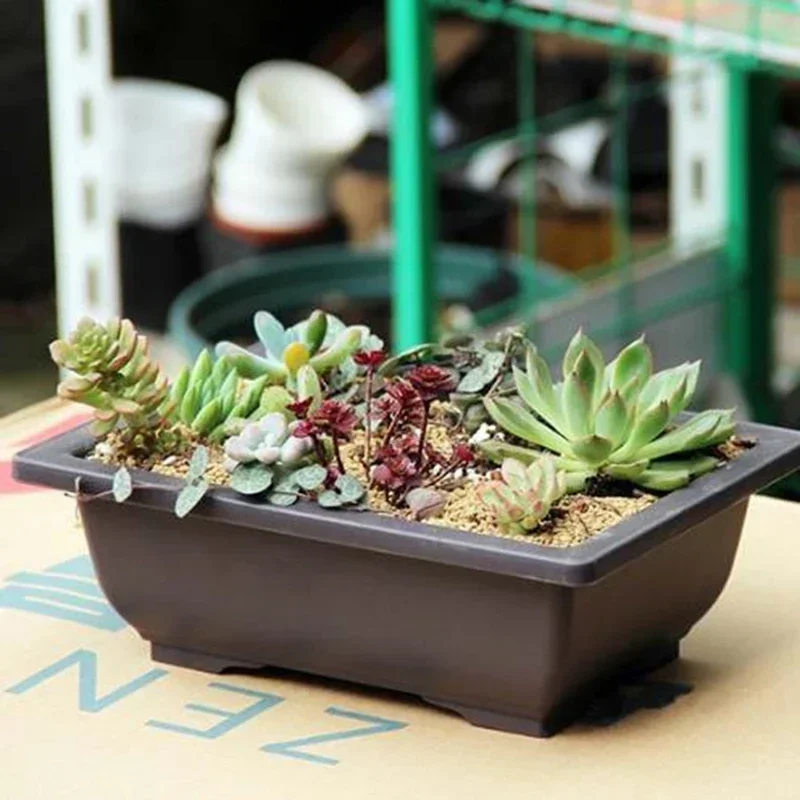 1PC Platz Blumentopf Nachahmung Kunststoff Balkon Töpfe Blume Bonsai Schüssel Kindergarten Becken Pflanzer Nachahmung Rechteck Blumentöpfe