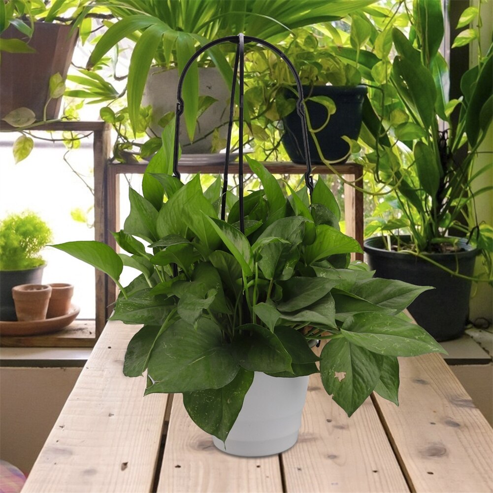 6PCS Climbing Vine Rack Plant Potted Support Frame Plastic Flower Vegetables Decorative Trellis Bracket Garden Tool