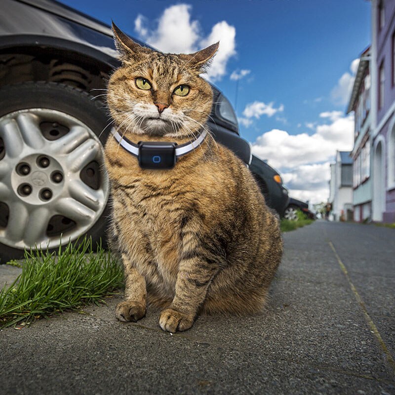 Pet GPS Locator Waterproof Anti-lost Real-time Tracking Postioning Collar for Dog Cats HG99