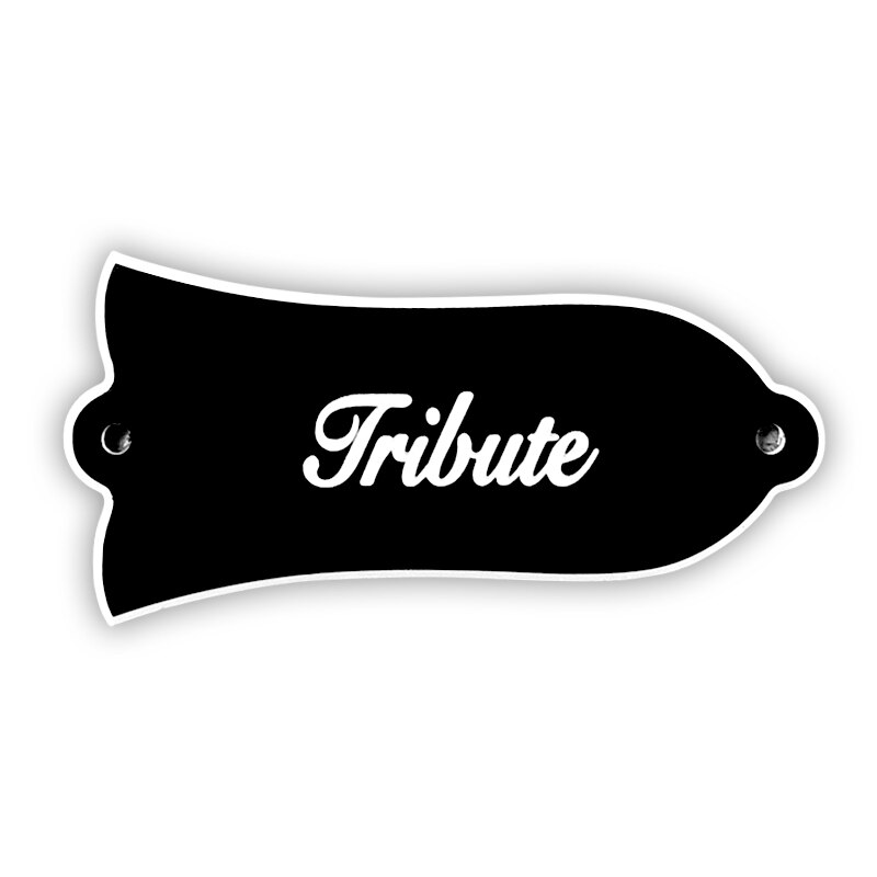 Feiman Guitar Parts For 1 PCS US Gib LP Standard TRUSS ROD COVER PLATE: Tribute