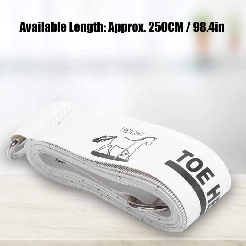 Meten Paard &amp; Pony Hoogte Gewicht Tape Gewicht In £ &amp; Hoogte In Handen 2.5 Meter/98 Inches Zachte tape