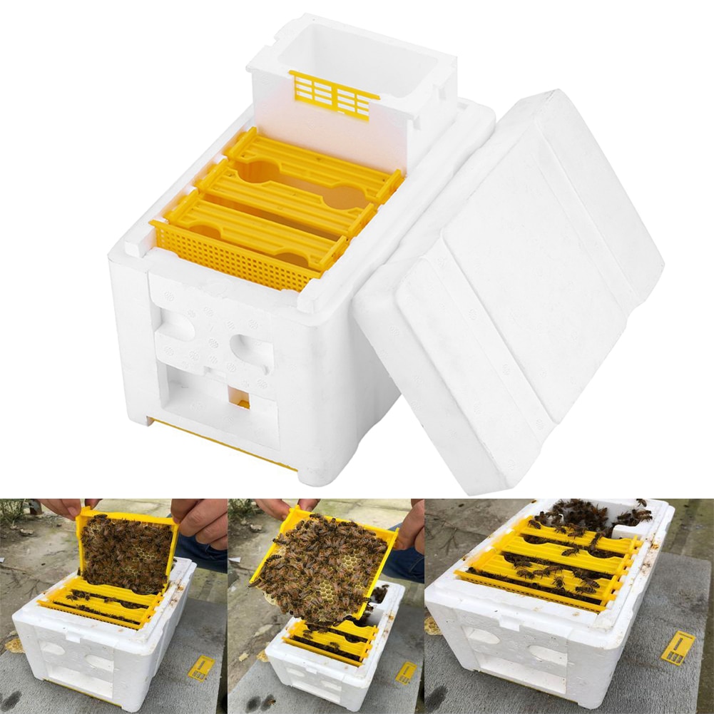 Harvest Bee Hive Beekeeping King Box Pollination Box Beekeeping Tool Perfect for Garden Pollination 30FP13