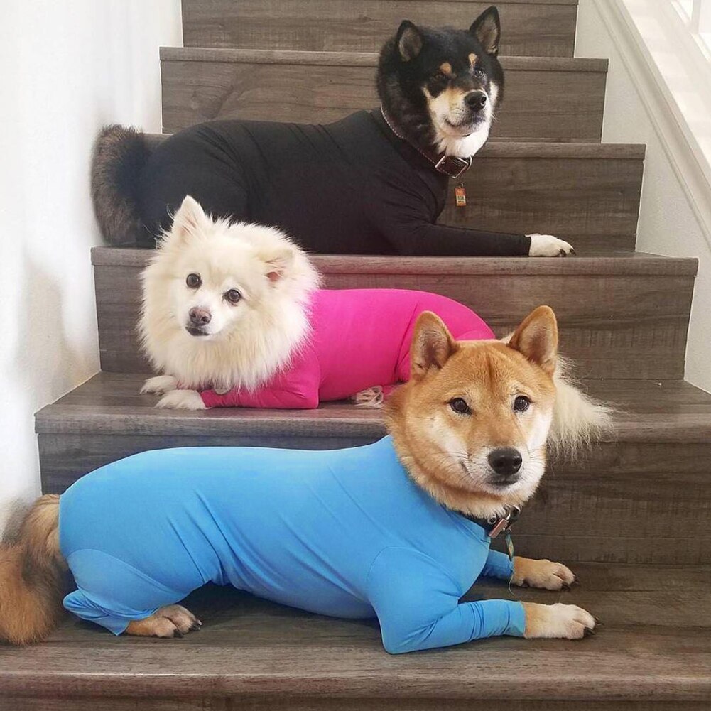 Pyjama D'été Pour Chien Taille XL - Décontracté Et élégant, Neuf Avec étiquettes