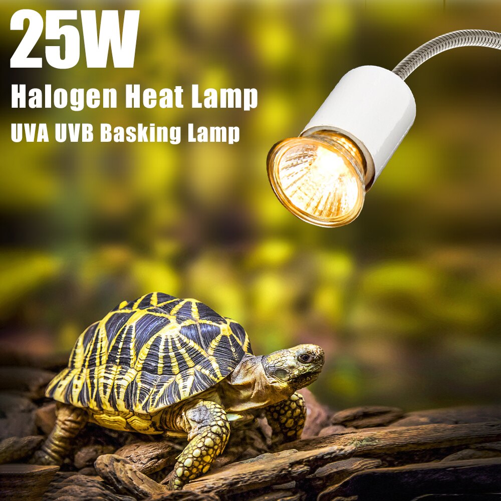 25w halogen varmelampe uva uvb basking lampe varmelegeme pære til krybdyr firben firkant temperatur controller skildpadde akvarieforsyning