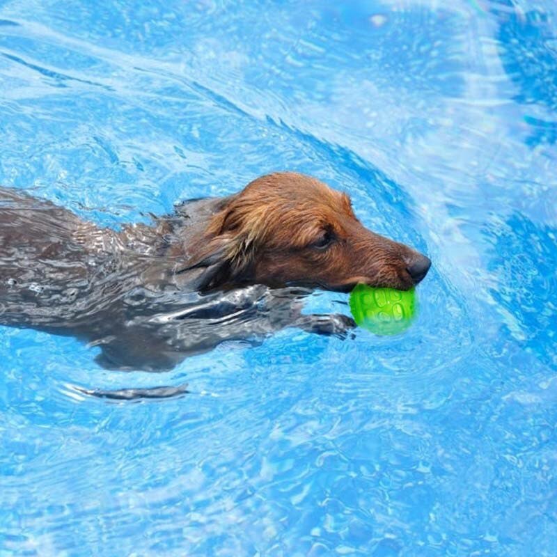 Perro gato cachorro juguetes que suenan lunares juguete bolas de Limpieza de dientes pelotas para jugar Pet dientes masticar juguete del animal doméstico de accesorios