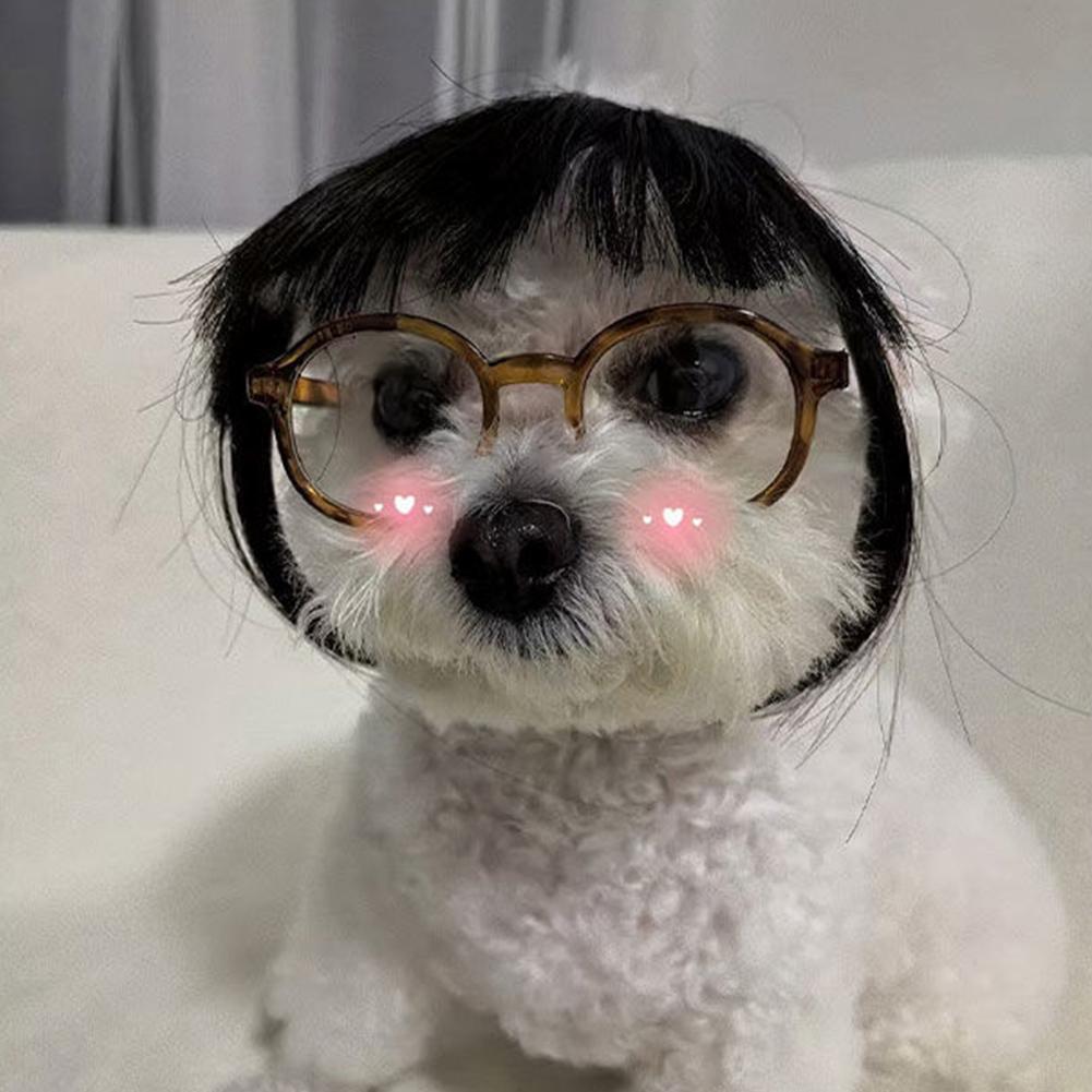 Accesorios de peluca para gato, tocado para perro, disfraz divertido, disfraz de cachorro, vestido de Cosplay, peluca bonita para mascota, accesorios divertidos para la cabeza