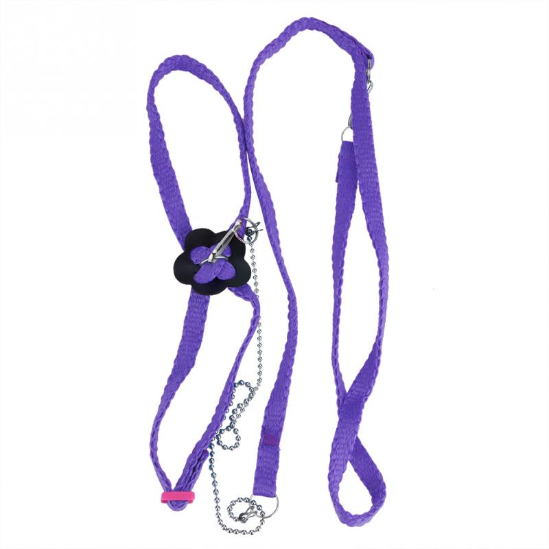 Correa ajustable para pájaros, arnés para exteriores, cuerda de entrenamiento, banda antimordida para entrenamiento de aves y accesorios para palomas: Púrpura