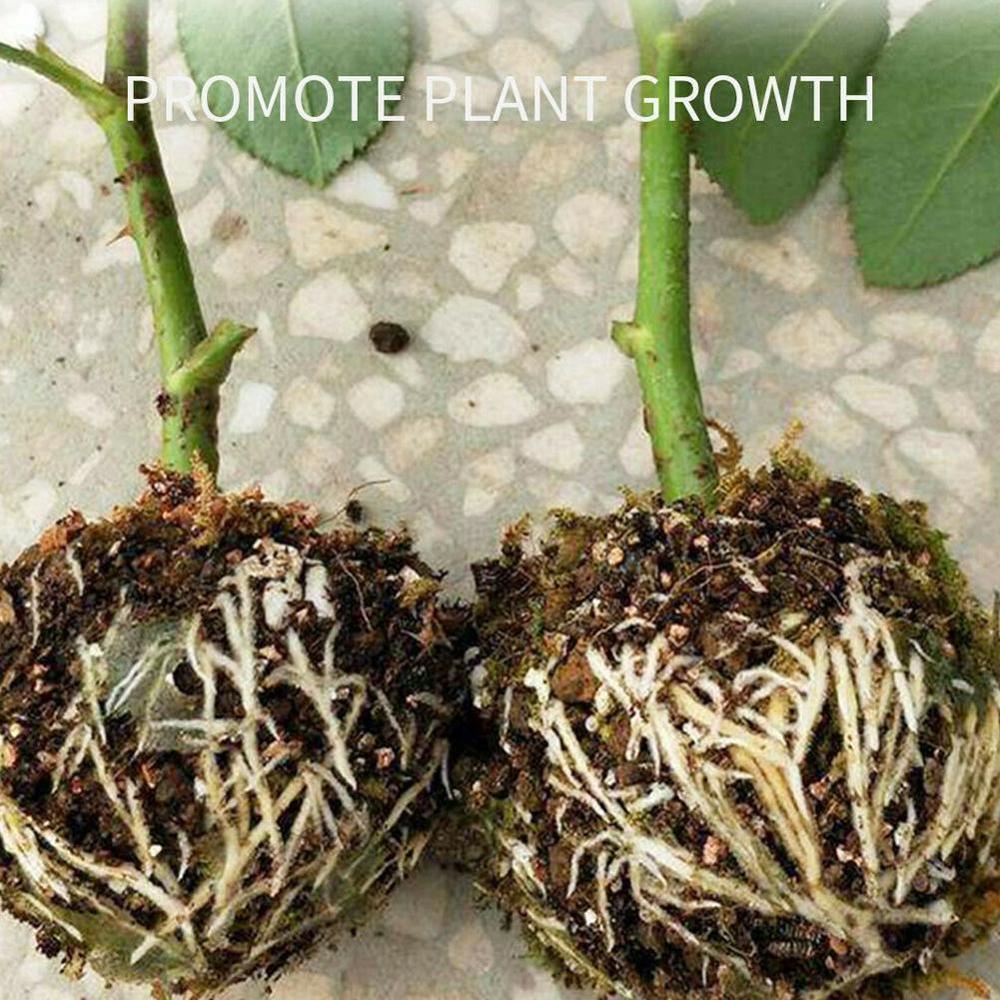 1pc planter rote ball poding rote voksekasse plantekasse rase avl rotekasse for hage  e4 t 5