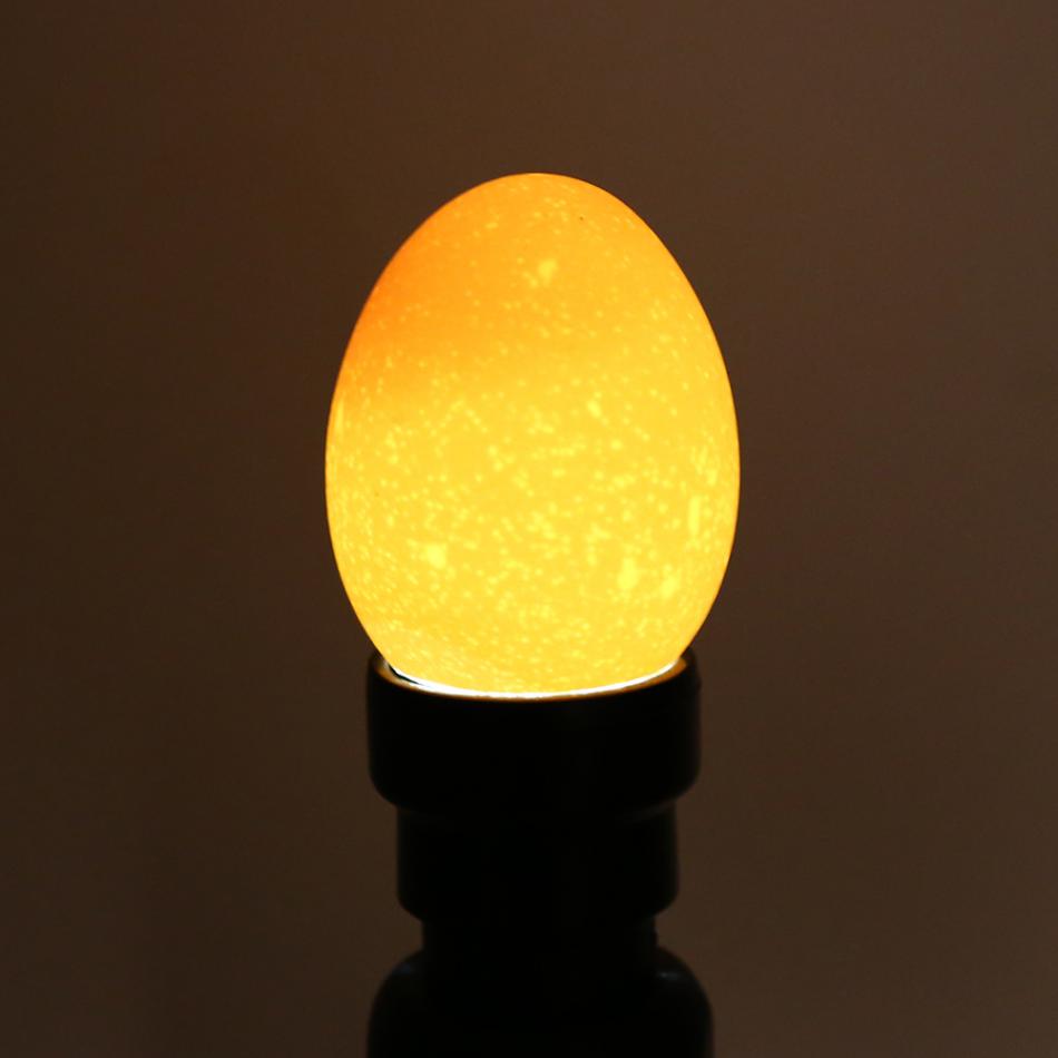 Testeur d'œufs, lampe LED froide, lumière Super brillante