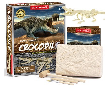 Dinosaur archaeological excavation toy prehistoric crocodile fossil skeleton excavation DIY boy: Gold