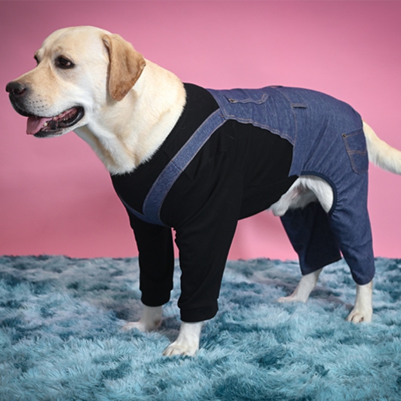 Pyjama en denim pour grand chien, vêtement en denim, une pièce, belle et cool, manteau à quatre pattes, pour jouer, automne/hiver