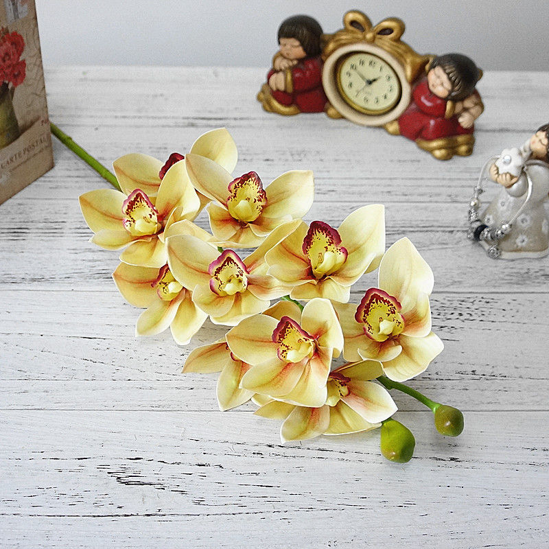 Narcis - Daffodil Dutch Master