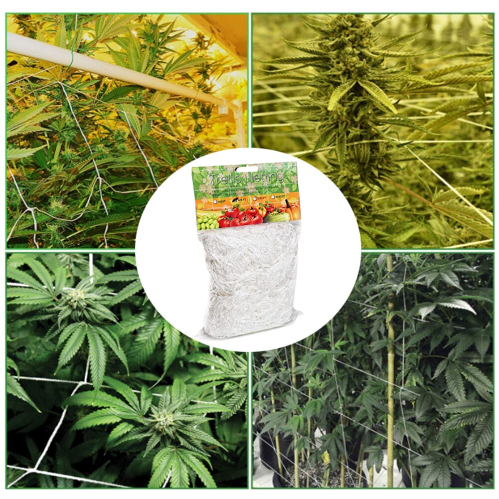 Plant Trellis Netting Heavy-Duty Polyester Plant Support Vine Climbing Hydroponics Garden Net For Pole Green Beans