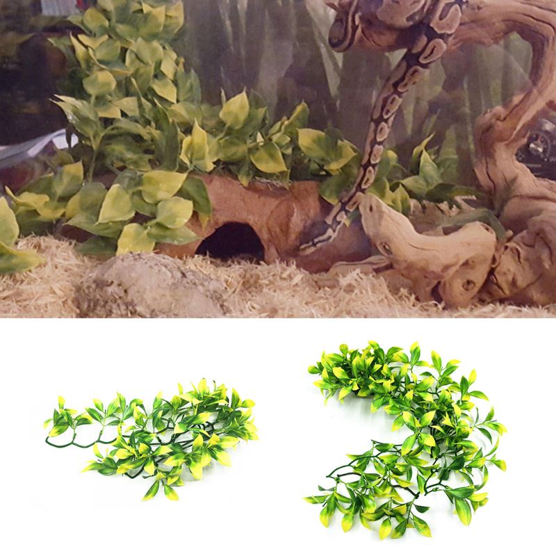 3 Pack Betta Fish Leaf Pad, Betta Fish Leaf Hamaca Que El De | Cuotas
