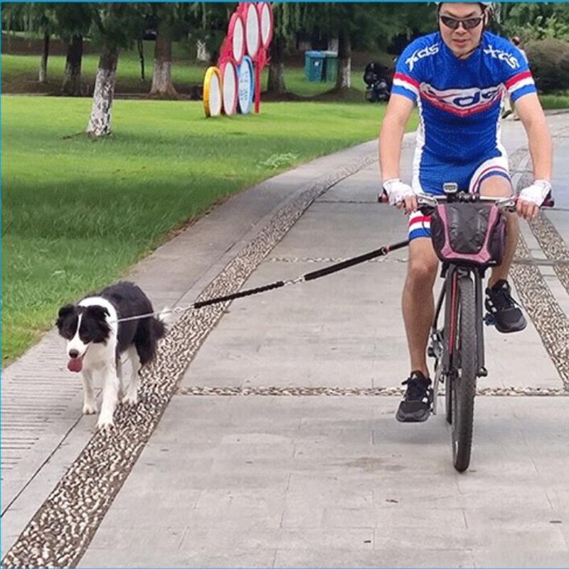 Dog Bicycle Bike Exerciser Leash Attachment Distance Keeper Hands Free Lead Pets Leash Elastic Dog Bicycle Traction Belt Rope