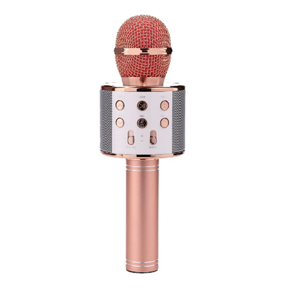 Draagbare Bluetooth Karaoke Microfoon Led Studio Record Draadloze Microfoon Luidspreker Voor Muziek Zingen Voor Huishoudelijke Karaoke: Champagne