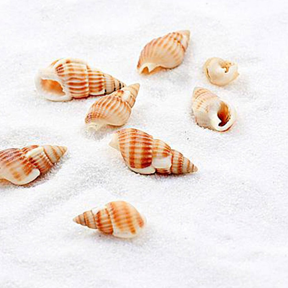 5 paquets sable blanc 80g multifonction Aquarium décoration Aquarium sable Aquarium sable pour jardin maison Vase