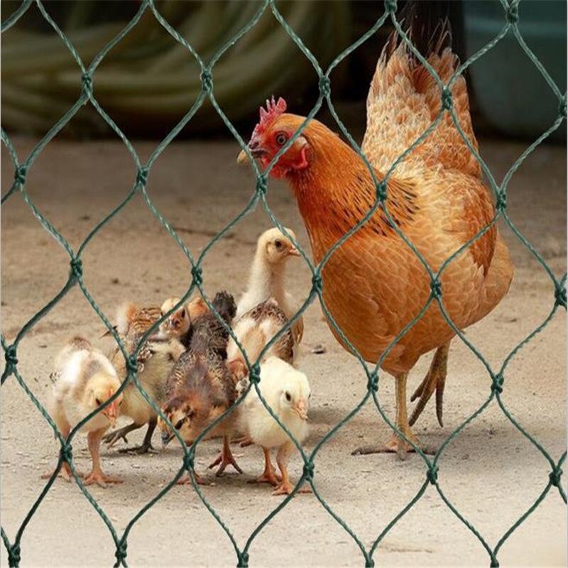 Malla para cerca de jardín de 2m x 10 m, red de seguridad para aves de corral y mascotas, Red de cría Simple, red de pesca para jardinería, red antiaves