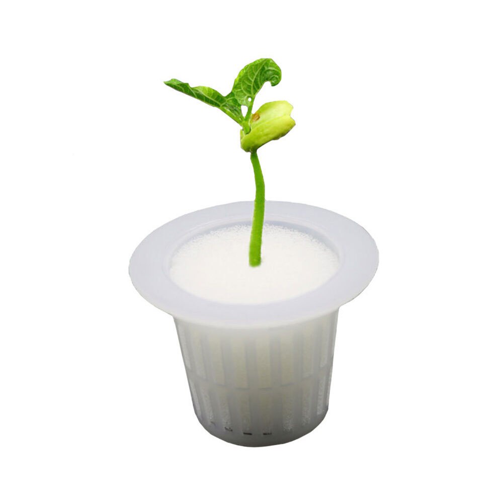 10 stk hvid mesh pot netto kop kurv + klon kloning krave skum indsætte hydroponic vegetabilsk plante vokse frø spire: 10 stk skum