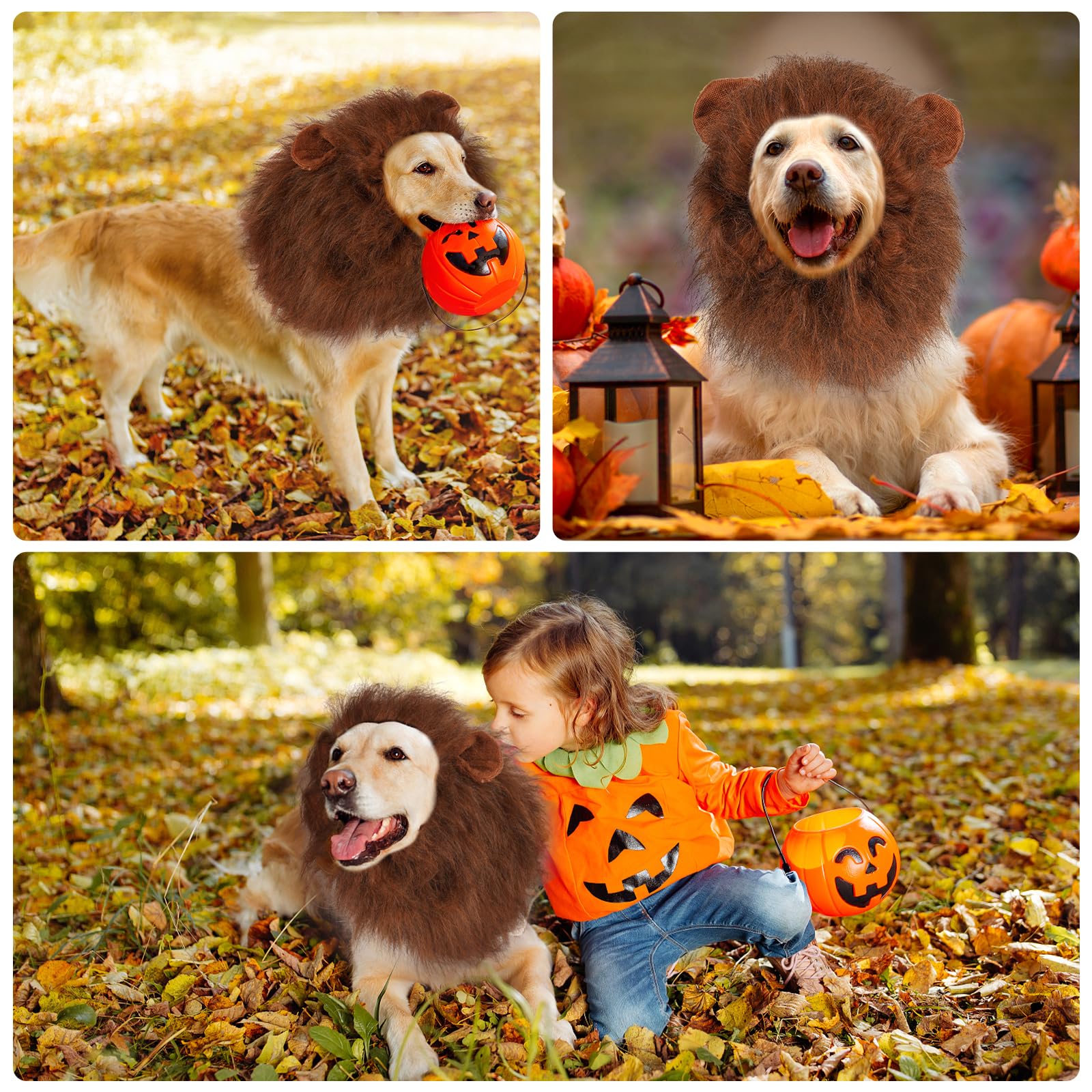 Løvemanke hundekostyme løveparykk halloween-kostyme med ører og hale egnet for mellomstore til store hunder halsomkrets opptil  to 80