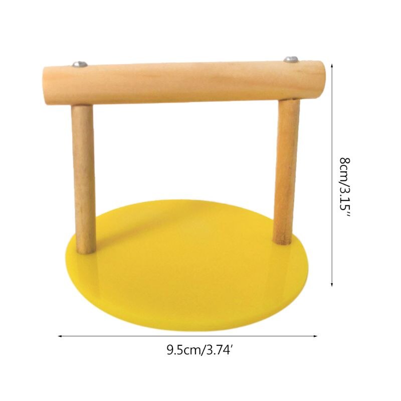 Parrot Wooden Tabletop Perch with Acrylic Base Bird Standing Exercising Grinding Desktop Perch