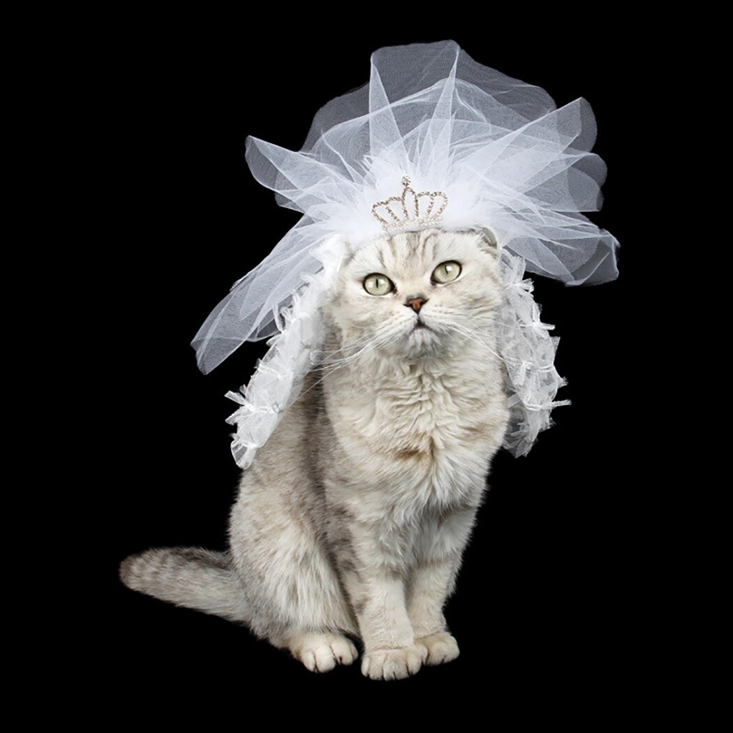 Diadema de creativa para gato, velo decorativo para boda, tocado para mascota, disfraz para , accesorios para gato