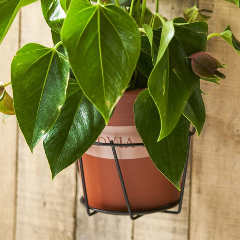 Iron Art Hanging Basket Flower Pot Holder Over The Rail Fence Planter Hangers GXMA