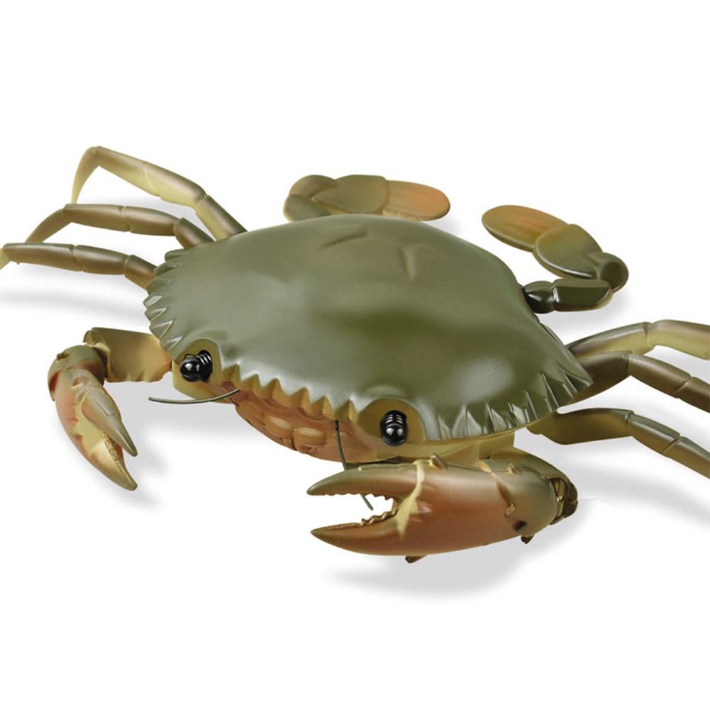 Hobbylane simuleringsmodel fjernbetjening krabber kravler legetøj elektrisk pædagogisk legetøj til børn: Default Title
