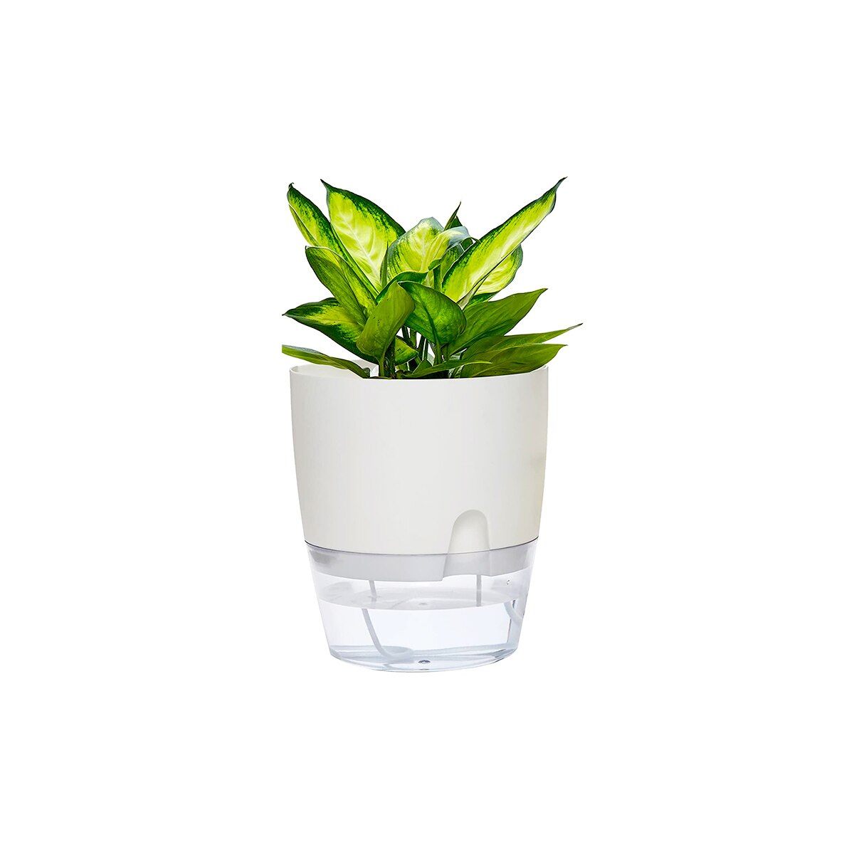 2 Layer Watering Planter Lazy Self Watering Pot Automatic Succulent Container for Flower Plant Indoor Supplies White Gray: white 10.5cm