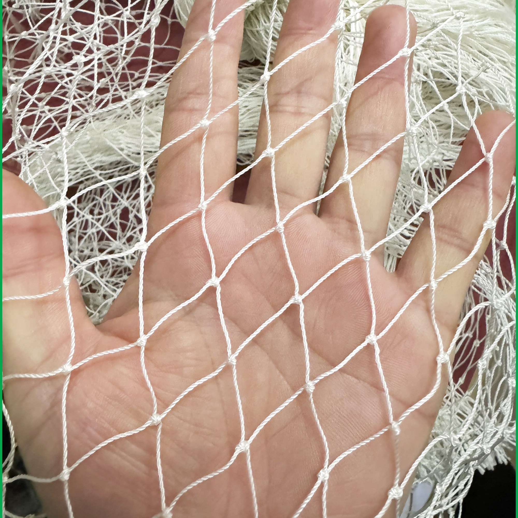 Nylon netz, 12 Stränge-2cm Anti-Vogel-Netz-Garten Obst kulturen Schutz netz, Nylon Fischernetz Gittergewebe Katze Hund Huhn Stift Netz