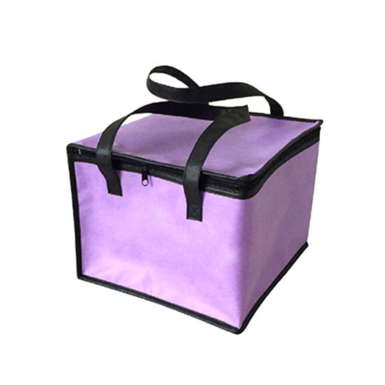 Bolsa de almuerzo con aislamiento térmico para pícnic, bolsa de contenedor portátil grande, paquete de refrigeración aislante, bolsas térmicas de transporte fresco: Morado / 25X25X20cm