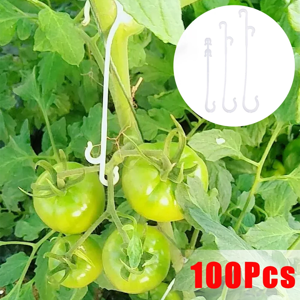 Ganchos en forma de J para soporte de tomate, 100/1 Uds., plantas vegetales reutilizables, enrejado, enredaderas, ganchos de hebilla fija para suministros de jardinería