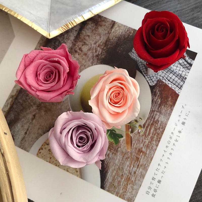 24pcs/box Preserved Flowers Eternal Life Flower Rose in box Immortal Flowers mothers day Material Box DIY Level B 2-3