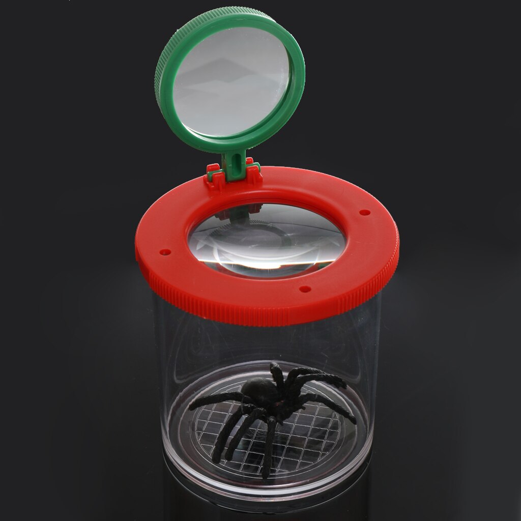 Visionneuse d'insectes loupe boîte à insectes insectes grossissement jouet pour enfant entomologistes attraper les insectes et autres insectes observer Case