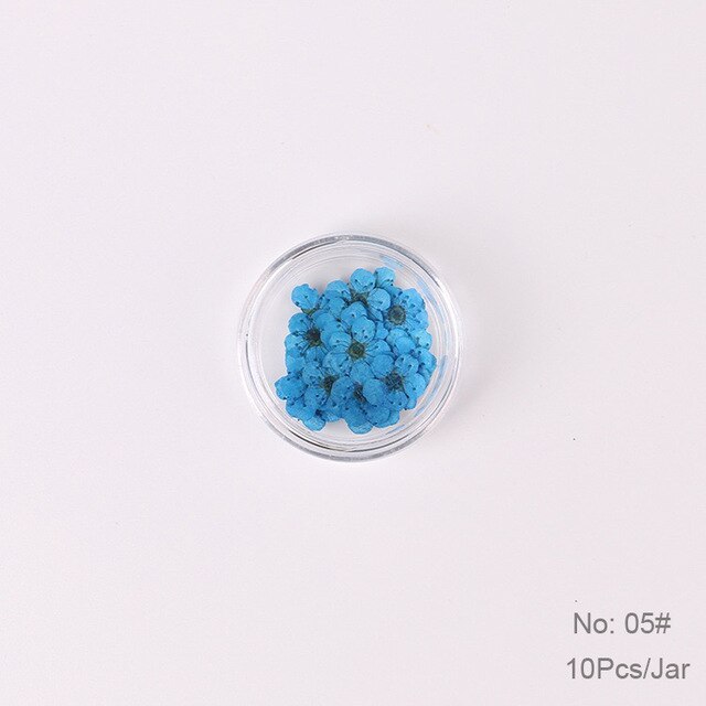 10 st  /1 box äkta nagelblommor gör-det-själv naturliga torkade blommor naglar konst dekoration torr flowe manikyr tillbehör blomdekaler: 05