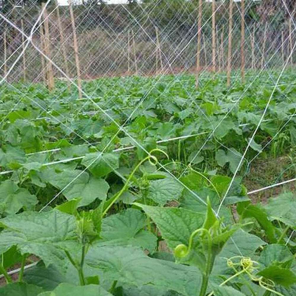 Planting Net 2pcs Woven Mesh Climbing Net Plant Home Gardening ... – Vicedeal