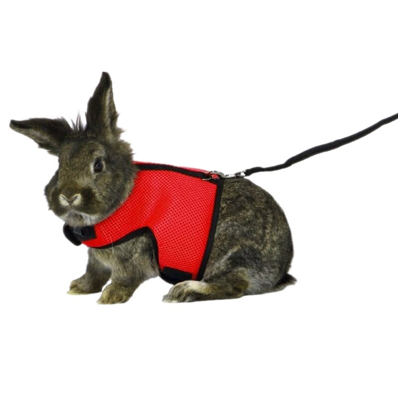 Conjunto de arnés y correa de conejo hámster, 5 colores, Hurón, conejillo de indias, rata, Animal PEQUEÑO, mascota, arnés para pasear ledes S/M/L/XL: L / red