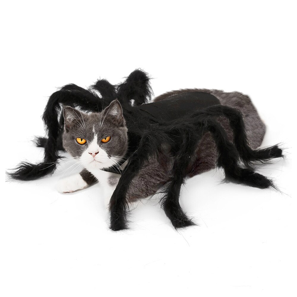 Neue Halloween Haustier Spinne Kleidung Simulation Schwarz Spinne Welpen Cosplay Kostüm Für Hunde Katzen Party Cosplay Lustige Katze Outfit