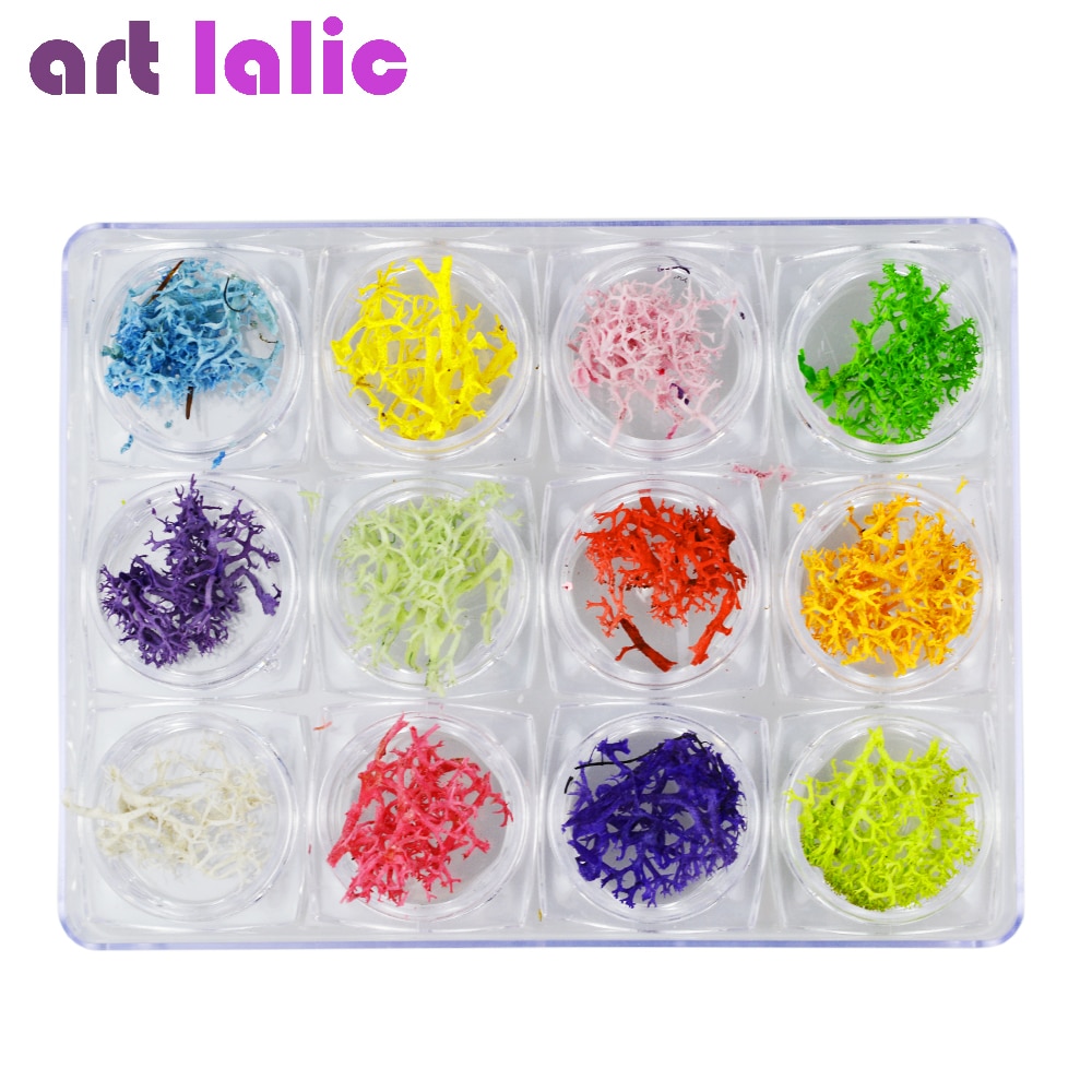Artlalic 12 Kleuren Natuur Coral 3D Nail Art Zeewier Droog Bewaarde Bloemen Tips Decoratie Nail DIY Manicure Accessoires