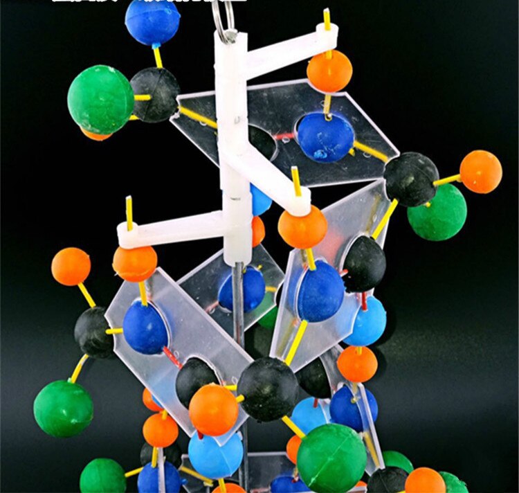 Biologische Onderwijs Eiwit Secundaire Structuur Model Structuur Model van Eiwit Biologie Onderwijs Model Experimentele Apparatuur