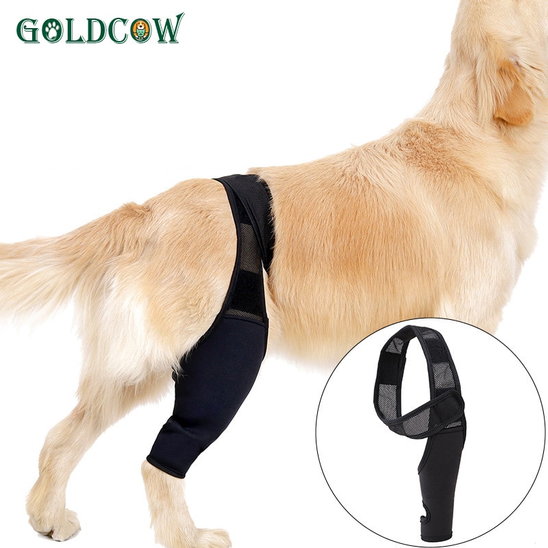 Huisdier Knie Pads Voor Achterpoten Letsel Herstellen Benen Protector Hond Kniebrace Verwondingen Been Brace Gezamenlijke Wrap Hond Verstelbare