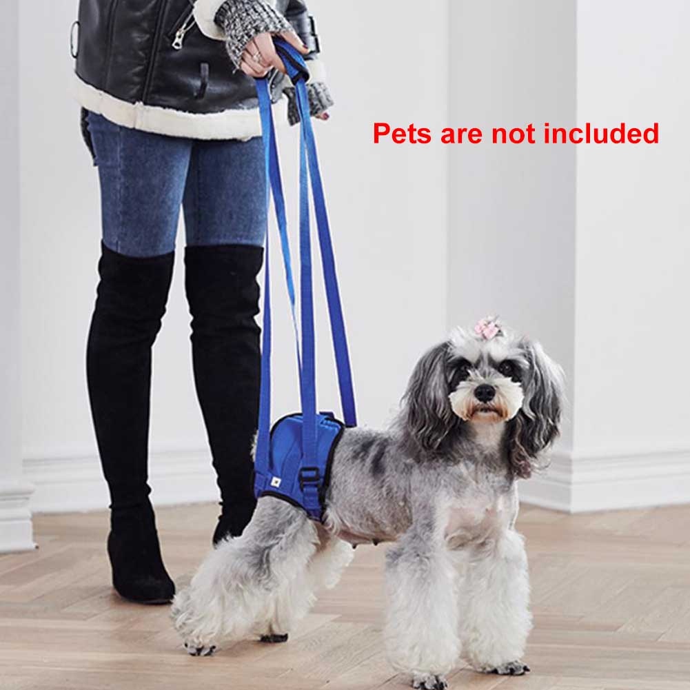 Dierbenodigdheden Uitgeschakeld Hond Ondersteuning Walking Helpen Harnas Draagbare Riem Elastische Mat Achterpoten Ledematen Carrying Revalidatie Oefening