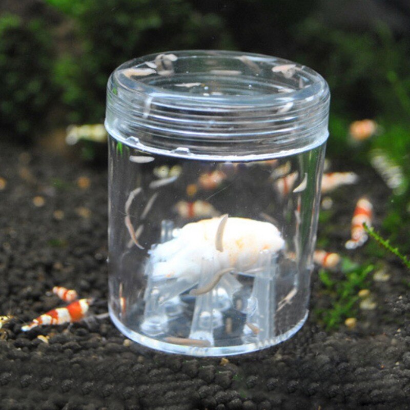 ♕S Aquarium Worm Val Aquarium Pest Vangen Glas Helder Leech Catcher Voor Planarian Platworm