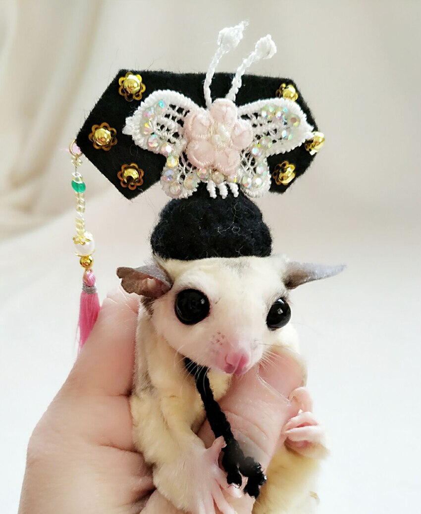 Shrew-sombrero para hámster tejido a mano, mini disfraz de animal bonito, sombrero de dibujos animados, ropa para mascotas