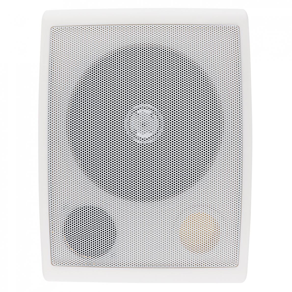 6.5Inch 10W Mode Muur Gemonteerde Plafond Luidspreker Publieke Broadcast Speaker Voor Park/School/Winkelcentrum/Station