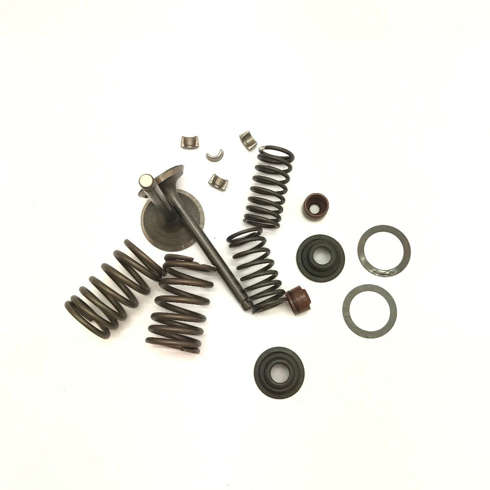 Cilinderkop Kleppenset - CH250 - voor 70-110CC Motoren - met Veren & Clips