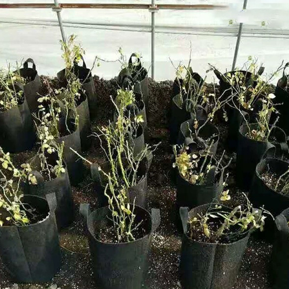 3 Pcs Planten Zakken Fijne Unieke Plant Opslag Pouch Non-woven Planten Zakken Plantaardige Tassen Tuin Planten Pouch