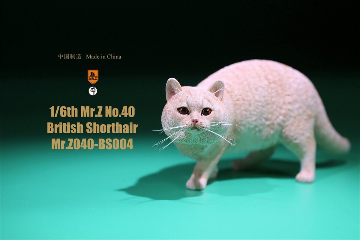 Mr.Z Studio 1:6 British Shorthair Cat Figure Cute Pet Animal Model Collector Toys Gfit Simulation Home Decoration Unisex: 004