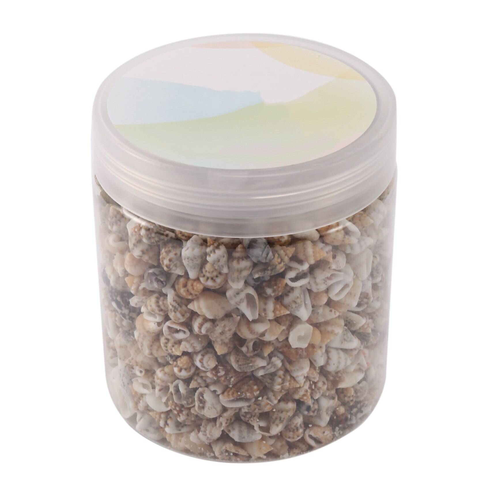 About 1300-1500 Tiny Sea Shell Ocean Beach Spiral Seashells Craft Charms 7-12mm for Candle Making,Home Decoration,Beach Theme