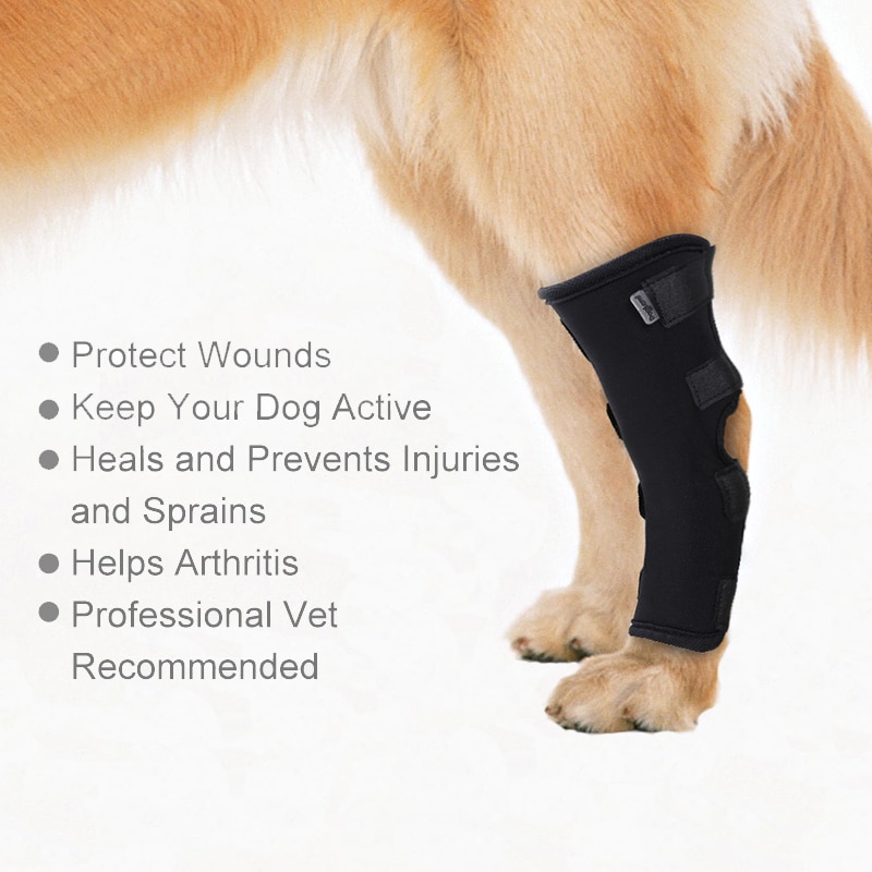 Dog Support Pet Knee Pads Recover Injury Legs Pet Hock Brace Dog Protector Dog Legs Hind Protector Pet Dog Supplies